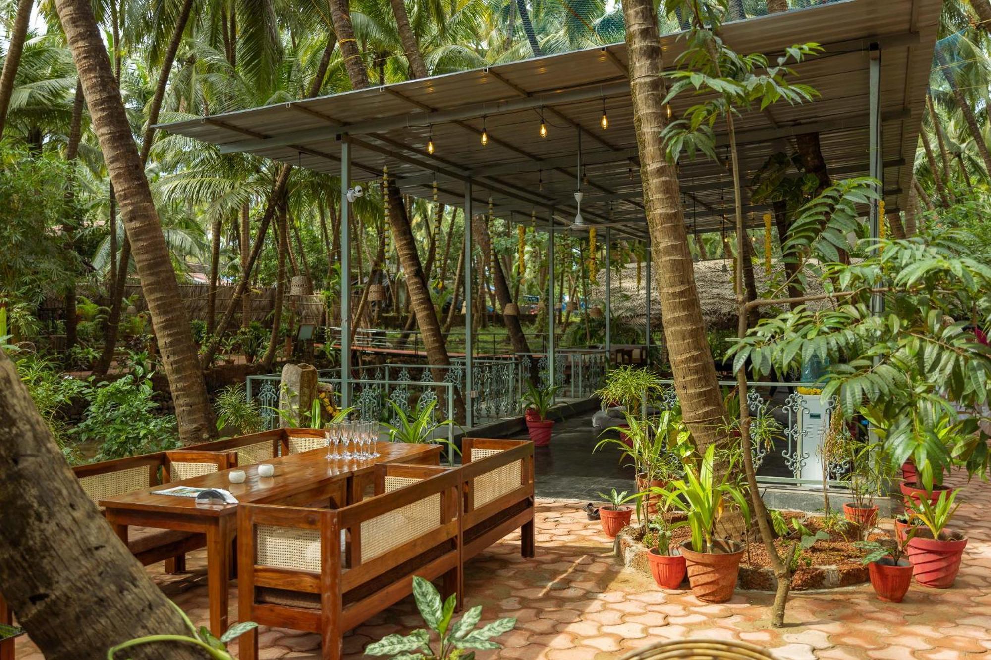 Palm Trees Ayurvedic Heritage सहारा