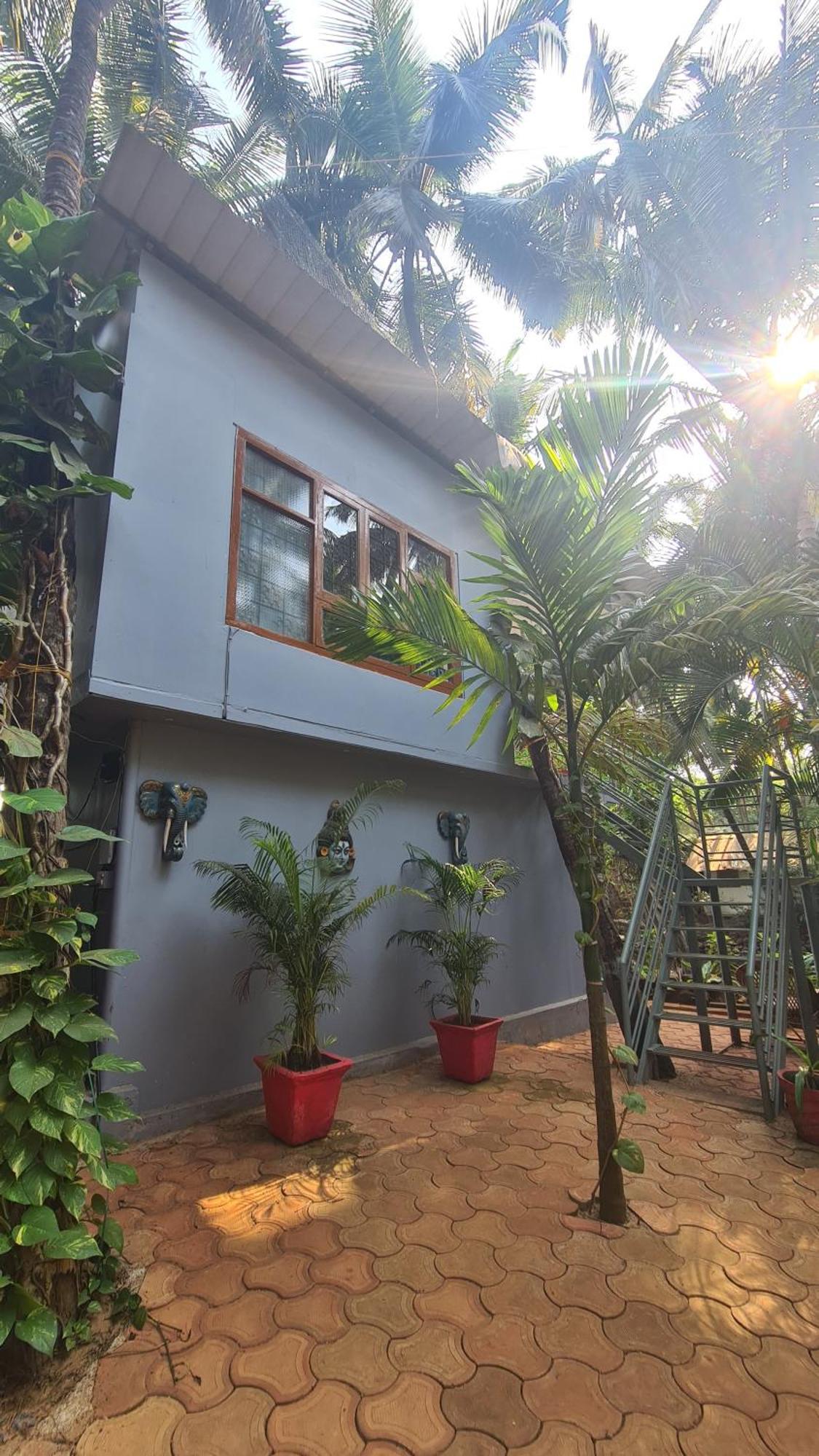 Palm Trees Ayurvedic Heritage