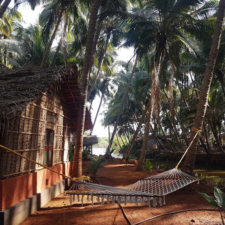 Palm Trees Ayurvedic Heritage सहारा 2*