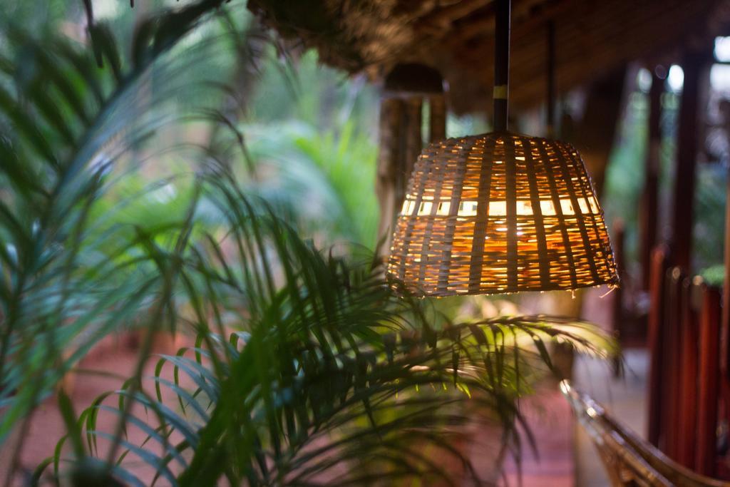 Palm Trees Ayurvedic Heritage सहारा 2*